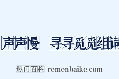 声声慢·寻寻觅觅组词是什么意思的图片